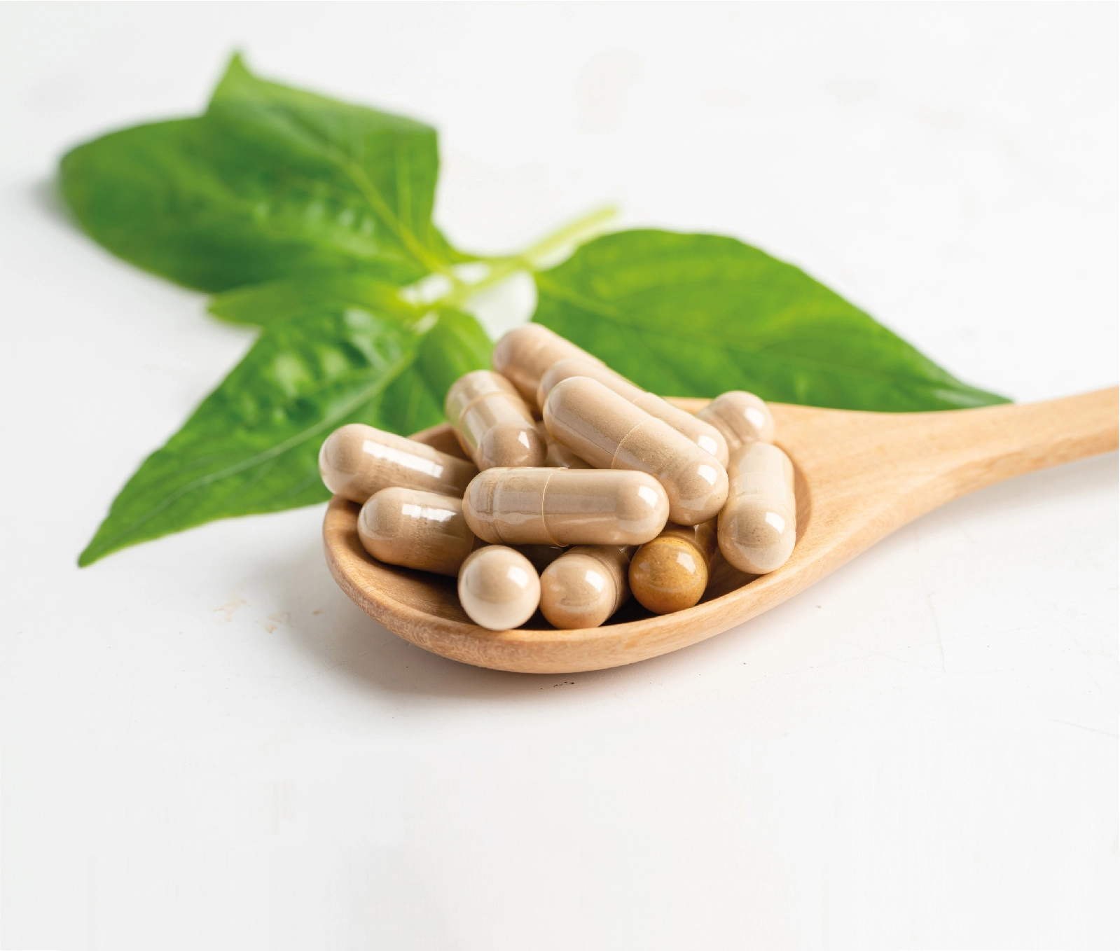 Image de démonstration